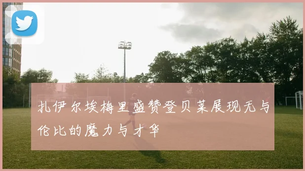 扎伊尔埃梅里盛赞登贝莱展现无与伦比的魔力与才华