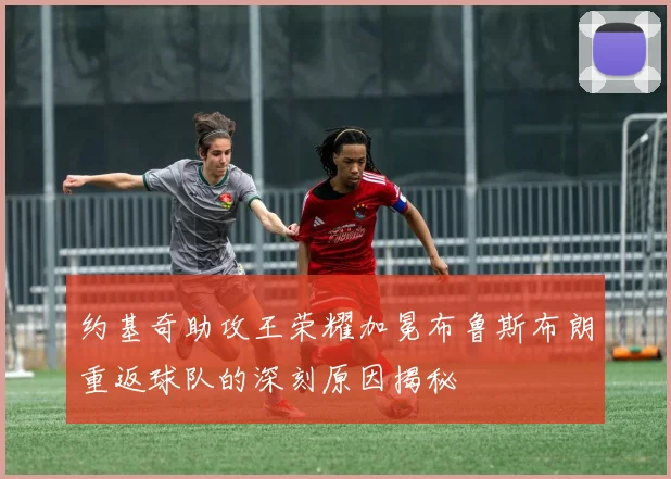 约基奇助攻王荣耀加冕布鲁斯布朗重返球队的深刻原因揭秘