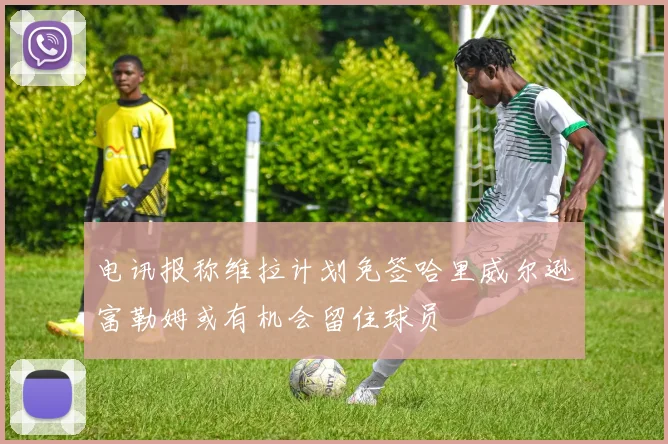 电讯报称维拉计划免签哈里威尔逊富勒姆或有机会留住球员